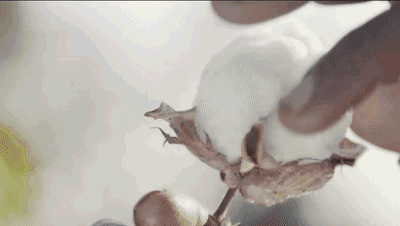 1617672315368553.gif 640 (1)